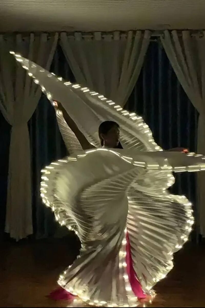 Show Wings with lights professional